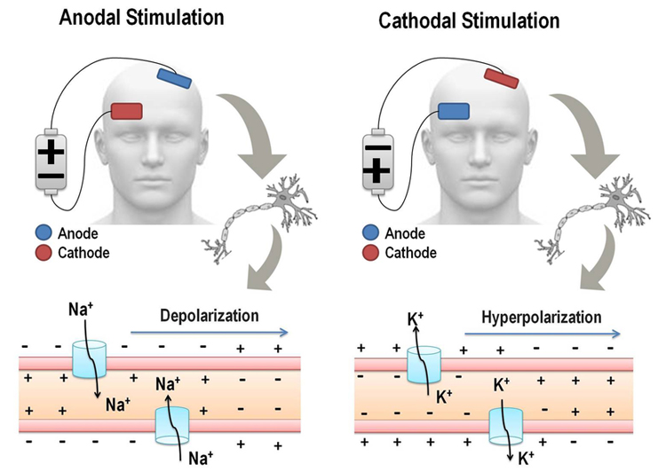 Estimulación Transcraneal