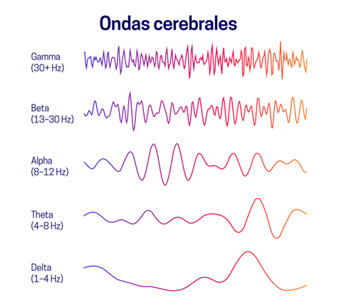 Neurofeedback