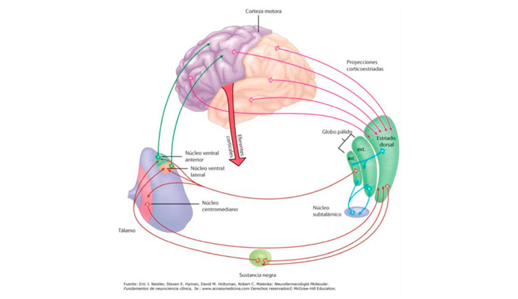 Estimulación Magenética Transcraneal profunda